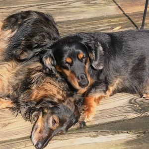 Meet your Posher, Jean